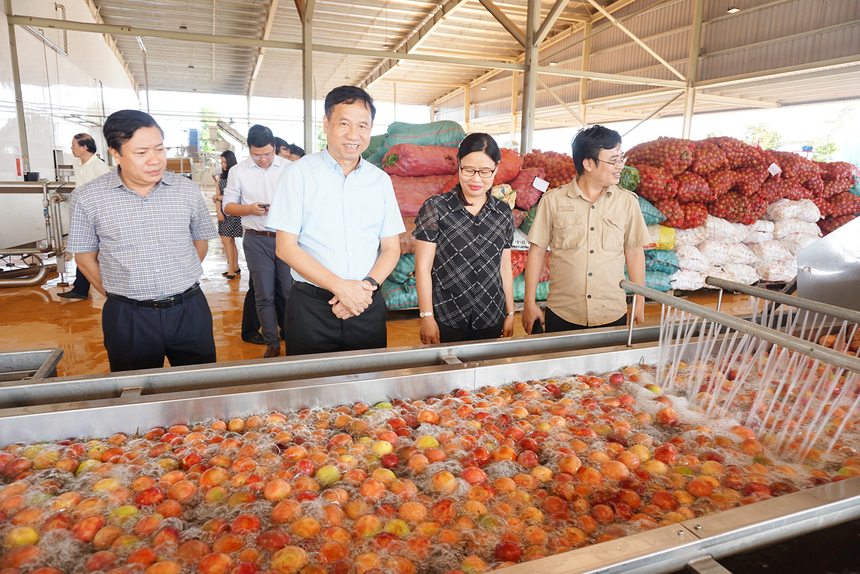 Ông Đinh Cao Khuê - Chủ tịch HĐQT Doveco hướng tới nâng tầm giá trị cây chanh leo - Ảnh 4.