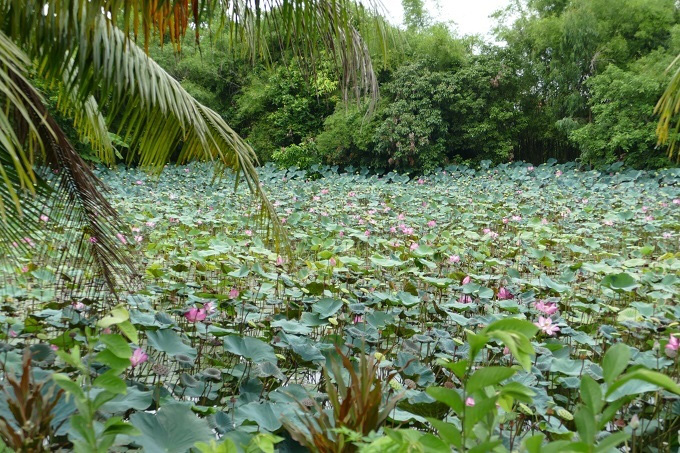 Hà Nam: &quot;Báu vật&quot; quý trong ngôi nhà gỗ của Tam Nguyên Yên Đổ - Ảnh 15.