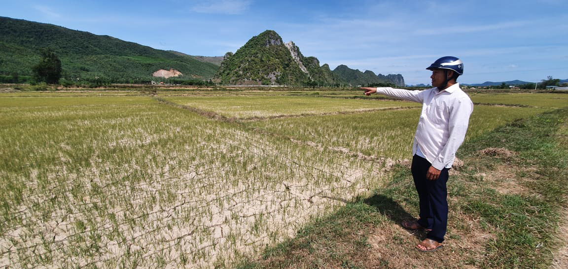 Nông dân Quảng Bình rơi nước mắt trên cánh đồng nứt toác - Ảnh 3.