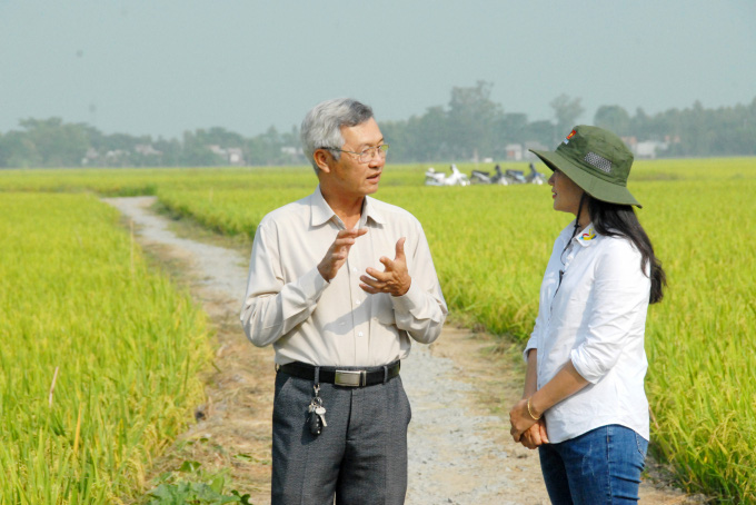 Trồng lúa bằng sữa tươi và trứng gà - Ảnh 2. Trồng lúa bằng sữa tươi và trứng gà - Ảnh 2.