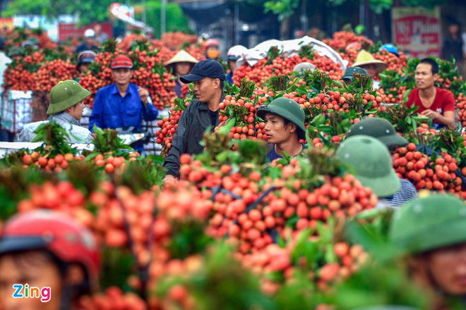 Mỹ tăng nhập khẩu xoài, ổi, măng cụt của Việt Nam - Ảnh 2. Mỹ tăng nhập khẩu xoài, ổi, măng cụt của Việt Nam - Ảnh 2.
