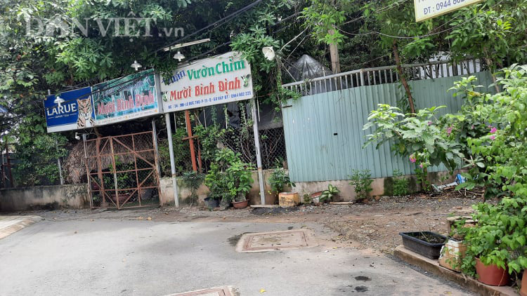 Vụ định nhảy lầu tự tử sau tuyên án tại tòa TP.HCM: Luật sư và bị đơn nói gì trước phiên giám đốc thẩm? - Ảnh 2.