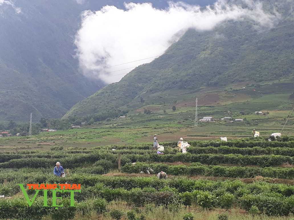 Tam Đường: Khơi sức dân xây dựng nông thôn mới - Ảnh 4. Tam Đường: Khơi sức dân xây dựng nông thôn mới - Ảnh 4.