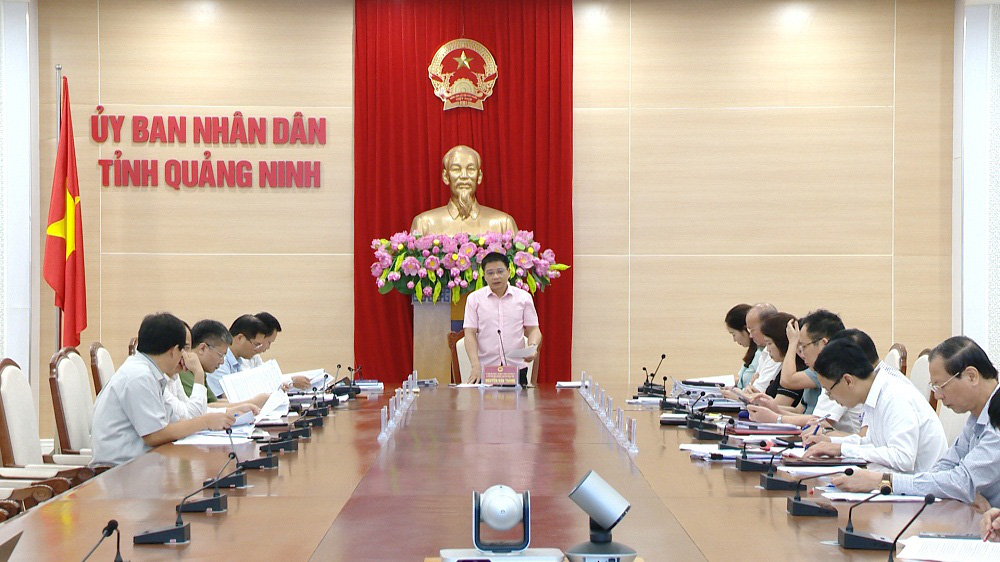 Quảng Ninh: Hủy thu hồi dự án vì 228 hộ dân góp vốn đứng ra bảo lãnh - Ảnh 1. Quảng Ninh: Hủy thu hồi dự án vì 228 hộ dân góp vốn đứng ra bảo lãnh - Ảnh 1.