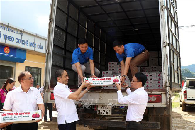 Xuất khẩu 10 tấn thanh long sang thị trường Nga - Ảnh 2. Xuất khẩu 10 tấn thanh long sang thị trường Nga - Ảnh 2.
