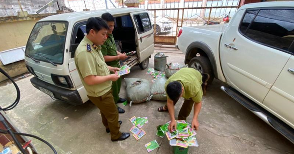 Thu giữ 6.500 túi hạt giống rau nghi nhập lậu - Ảnh 1.