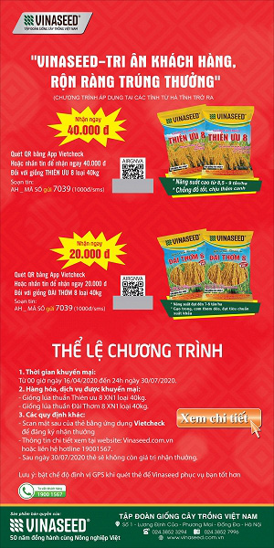 An Giang: Trồng dâu tằm lấy trái cho thu nhập ổn định - Ảnh 11. An Giang: Trồng dâu tằm lấy trái cho thu nhập ổn định - Ảnh 11.