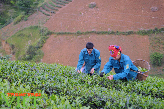 Bí thư Tỉnh uỷ Sơn La: "Xây dựng Thuận Châu thành huyện phát triển khá" - Ảnh 2. Bí thư Tỉnh uỷ Sơn La: "Xây dựng Thuận Châu thành huyện phát triển khá" - Ảnh 2.