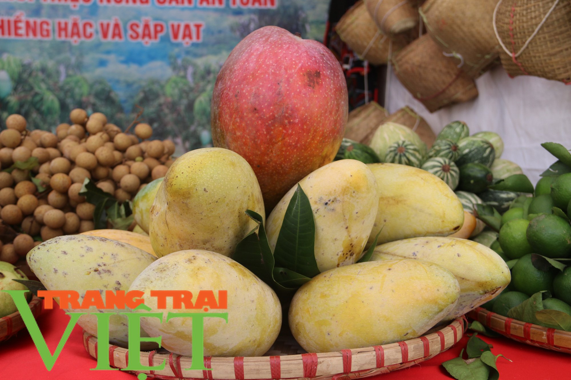 Ảnh: Hàng loạt nông sản sạch Yên Châu trưng bày tại Đại hội Đảng bộ - Ảnh 7. Ảnh: Hàng loạt nông sản sạch Yên Châu trưng bày tại Đại hội Đảng bộ - Ảnh 7.