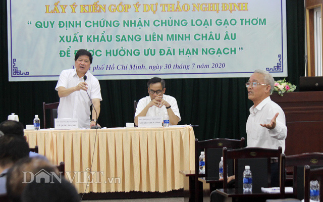 Giữ nguyên tiêu chuẩn độ thuần giống lúa 95% để hướng đến “miếng bánh” to hơn trong EVFTA - Ảnh 1.