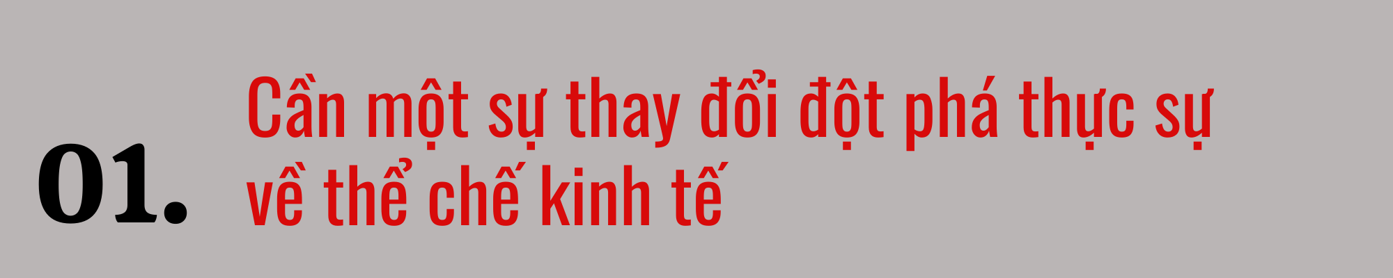 TS. Nguyễn Đình Cung: &quot;Về mặt thể chế mà nói, cần một thay đổi thực sự đột phá&quot; - Ảnh 2.