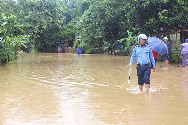 230ha lúa của tỉnh Tuyên Quang bị ngập úng vì mưa lớn - Ảnh 1.