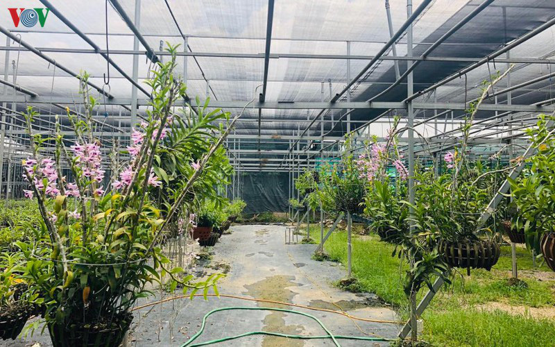 Lan đột biến giá bán mấy chục tỷ, người bảo là ảo, ông Chủ tịch này bảo là thật, không biết đâu mà lần - Ảnh 6.