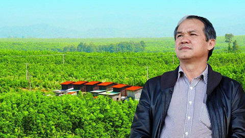 Lỗ 132 tỷ đồng, Hoàng Anh Gia Lai duy trì nhiều giao dịch liên quan đến bầu Đức và tỷ phú - Ảnh 3. Lỗ 132 tỷ đồng, Hoàng Anh Gia Lai duy trì nhiều giao dịch liên quan đến bầu Đức và tỷ phú - Ảnh 3.