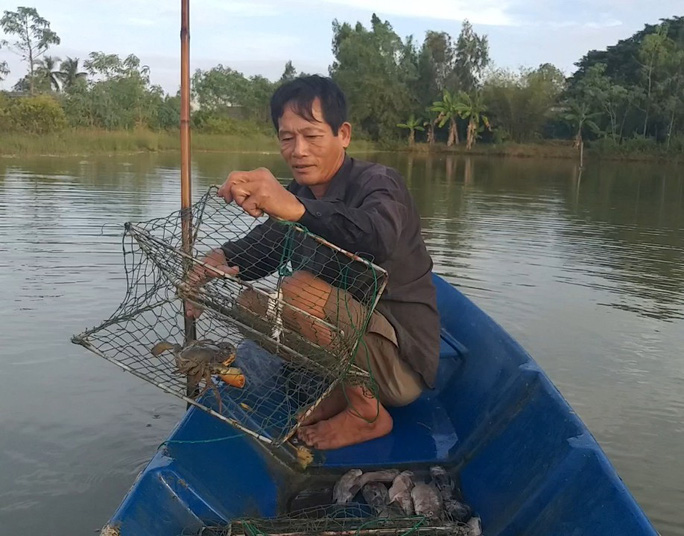 Cua biển ngon nhất miền Tây tăng giá trở lại sau dịch Covid-19 - Ảnh 3. Cua biển ngon nhất miền Tây tăng giá trở lại sau dịch Covid-19 - Ảnh 3.