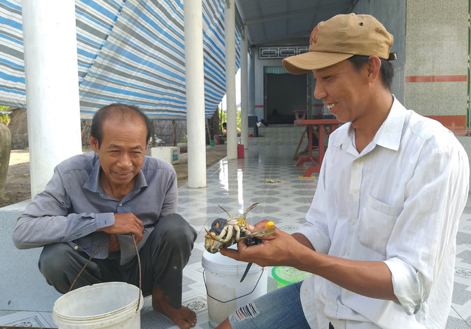 Cua biển ngon nhất miền Tây tăng giá trở lại sau dịch Covid-19 - Ảnh 5. Cua biển ngon nhất miền Tây tăng giá trở lại sau dịch Covid-19 - Ảnh 5.