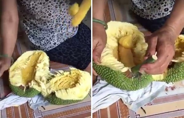 Bi hài pha tin lời người bán, gia đình có pha bổ mít tố nữ khiến dân mạng cười nghiêng ngả - Ảnh 1. Bi hài pha tin lời người bán, gia đình có pha bổ mít tố nữ khiến dân mạng cười nghiêng ngả - Ảnh 1.