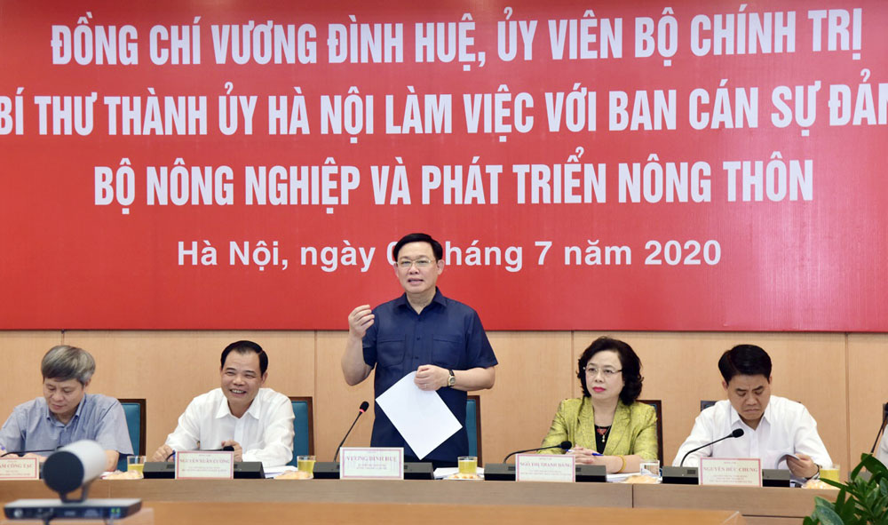 Quy hoạch hai bên sông Hồng: Hà Nội &quot;gọi&quot;, Bộ Nông nghiệp &quot;trả lời&quot; - Ảnh 1.