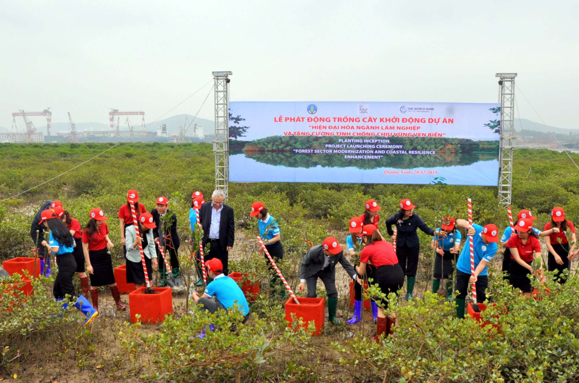 Họp HĐND tỉnh Quảng Ninh: Hỗ trợ 100% chi phí bồi dưỡng, đào tạo khuyến nông - Ảnh 3.