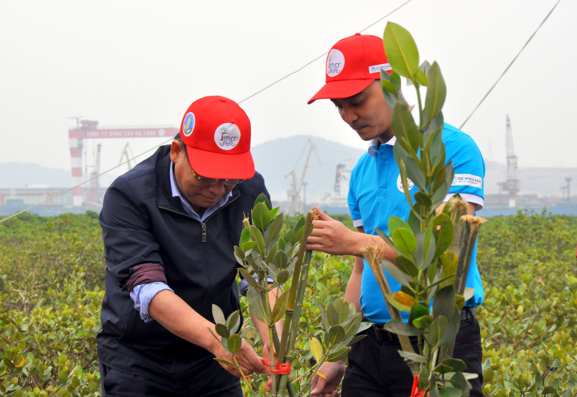 Họp HĐND tỉnh Quảng Ninh: Hỗ trợ 100% chi phí bồi dưỡng, đào tạo khuyến nông - Ảnh 4.