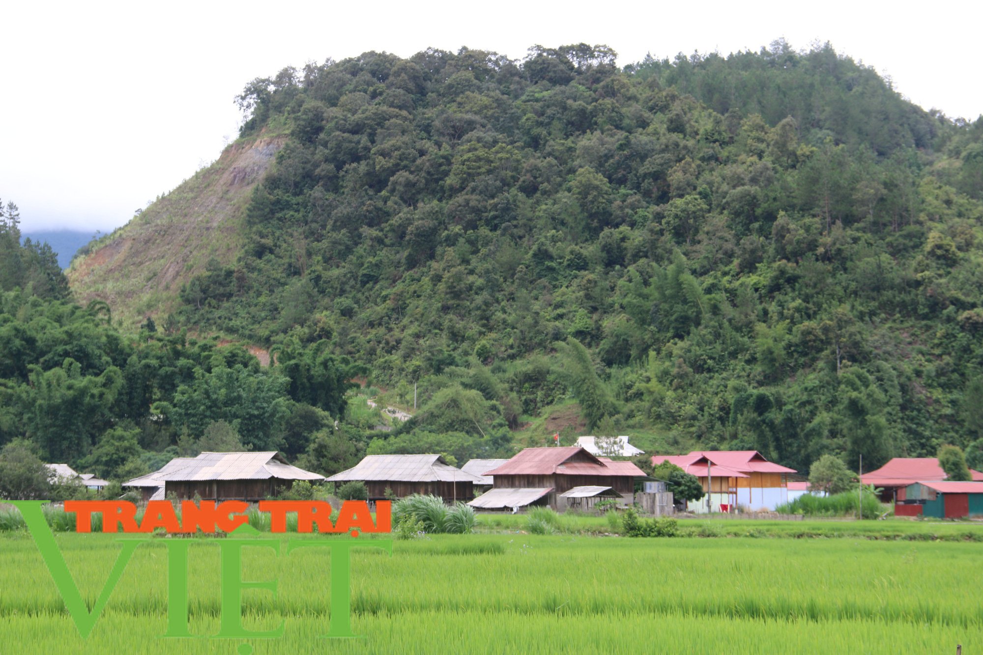 Trải nghiệm du lịch cộng đồng homestay Ngọc Chiến - Ảnh 2. Trải nghiệm du lịch cộng đồng homestay Ngọc Chiến - Ảnh 2.
