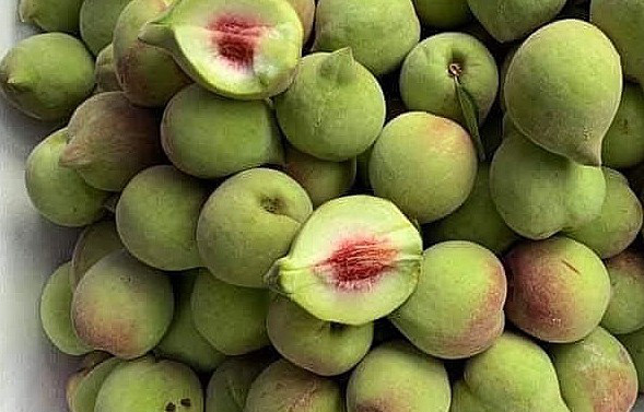 Đào mỏ quạ Trung Quốc gắn mác Sa Pa siêu rẻ - Ảnh 1. Đào mỏ quạ Trung Quốc gắn mác Sa Pa siêu rẻ - Ảnh 1.