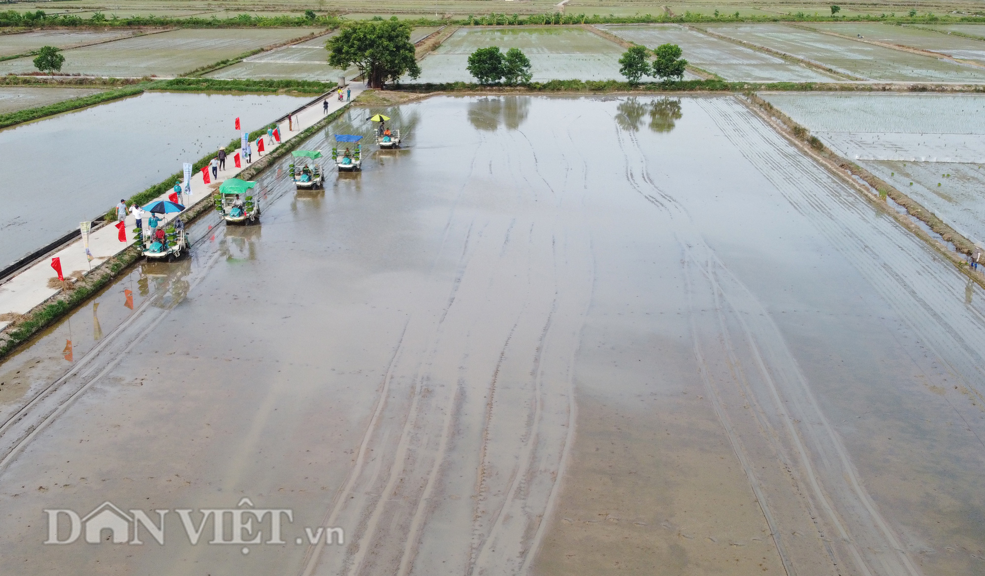 Hải Dương: Lần đầu tiên trình diễn máy cấy lúa trên đồng ruộng - Ảnh 13.