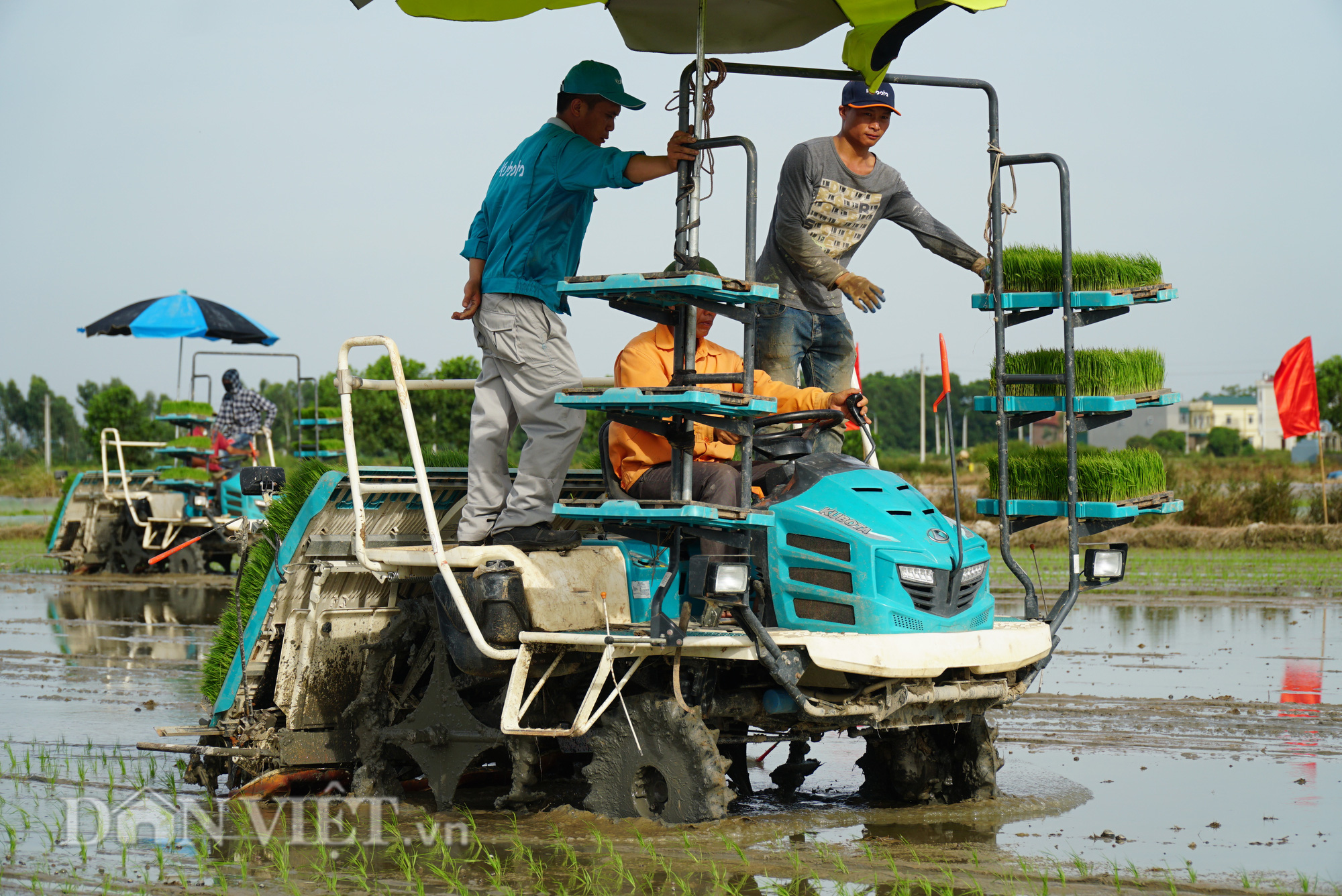 Hải Dương: Lần đầu tiên trình diễn máy cấy lúa trên đồng ruộng - Ảnh 9.