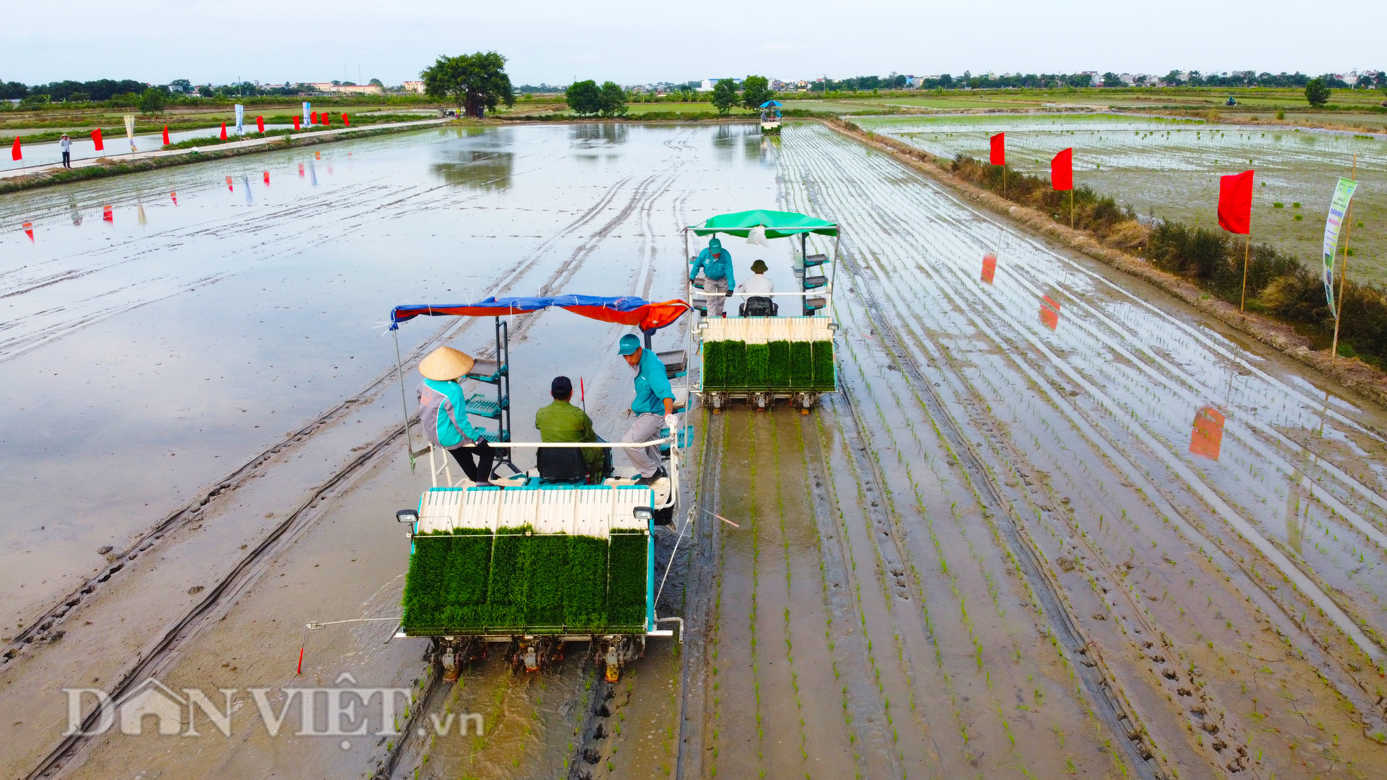 Hải Dương: Lần đầu tiên trình diễn máy cấy lúa trên đồng ruộng - Ảnh 7.