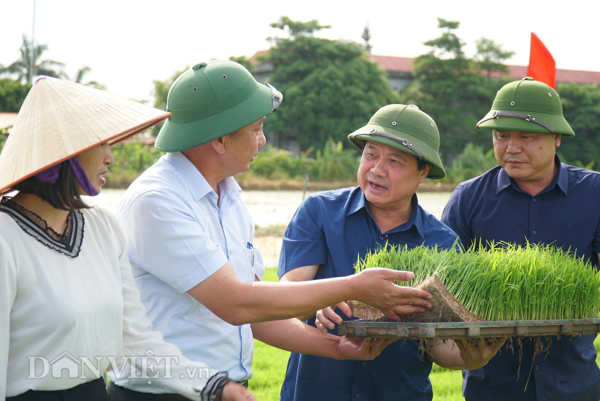 Hải Dương: Lần đầu tiên trình diễn máy cấy lúa trên đồng ruộng - Ảnh 4.