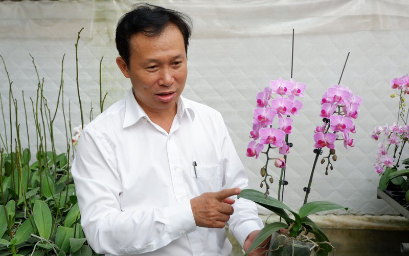 Bí quyết nhận diện lan đột biến đang "khuynh đảo" thị trường - Ảnh 8. Bí quyết nhận diện lan đột biến đang "khuynh đảo" thị trường - Ảnh 8.