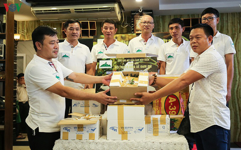 Bí quyết nhận diện lan đột biến đang "khuynh đảo" thị trường - Ảnh 1. Bí quyết nhận diện lan đột biến đang "khuynh đảo" thị trường - Ảnh 1.
