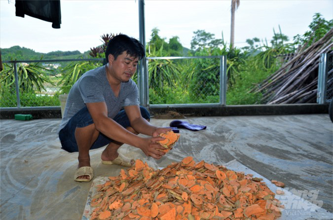 Thu tiền tỷ từ nuôi ốc nhồi - Ảnh 5.