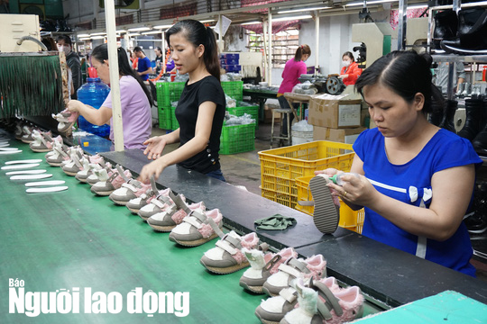 5 khoản tiền người lao động có thể nhận được nếu mất việc trong mùa Covid-19 - Ảnh 2.