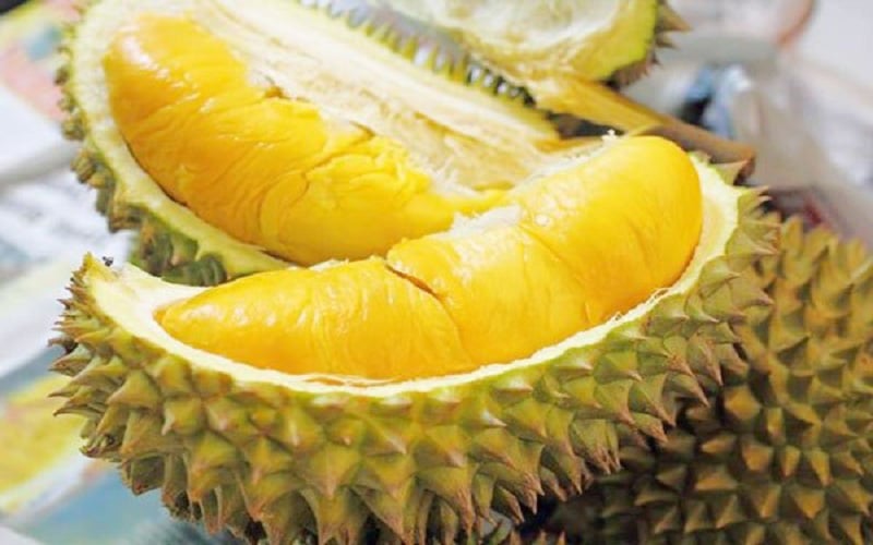 Sầu riêng ngon "có một không hai" ở Bến Tre được cấp chỉ dẫn địa lý - Ảnh 1. Sầu riêng ngon "có một không hai" ở Bến Tre được cấp chỉ dẫn địa lý - Ảnh 1.