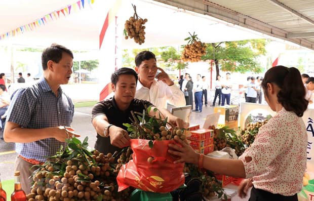 Nhà vườn Lạng Sơn và 7 tỉnh thành giao dịch trực tuyến với 70 DN nhập khẩu  - Ảnh 1.