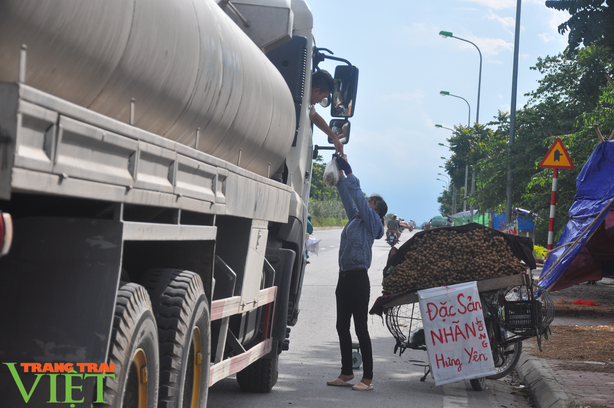 Giống nhãn tiến vua siêu ngọt có hạt màu đỏ "cực dị", giá đắt nhất Hưng Yên ngon như thế nào? - Ảnh 4. Giống nhãn tiến vua siêu ngọt có hạt màu đỏ "cực dị", giá đắt nhất Hưng Yên ngon như thế nào? - Ảnh 4.