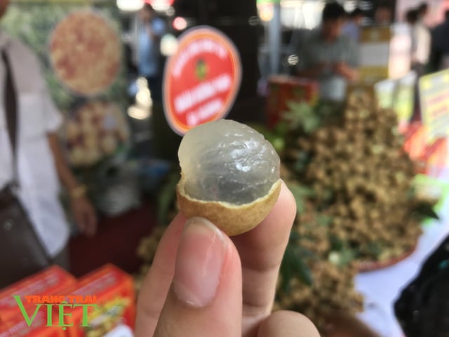Giống nhãn tiến vua siêu ngọt có hạt màu đỏ "cực dị", giá đắt nhất Hưng Yên ngon như thế nào? - Ảnh 2. Giống nhãn tiến vua siêu ngọt có hạt màu đỏ "cực dị", giá đắt nhất Hưng Yên ngon như thế nào? - Ảnh 2.