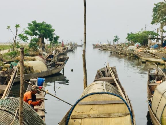 Xóm nhà chồ bên phá Tam Giang - Ảnh 1. Xóm nhà chồ bên phá Tam Giang - Ảnh 1.