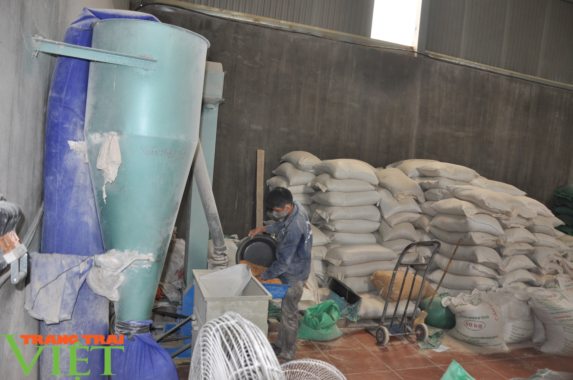 Từ một cậu bé hư đến người "chia" hàng nghìn "đầu cơ nghiệp" cho dân làm giàu - Ảnh 3. Từ một cậu bé hư đến người "chia" hàng nghìn "đầu cơ nghiệp" cho dân làm giàu - Ảnh 3.