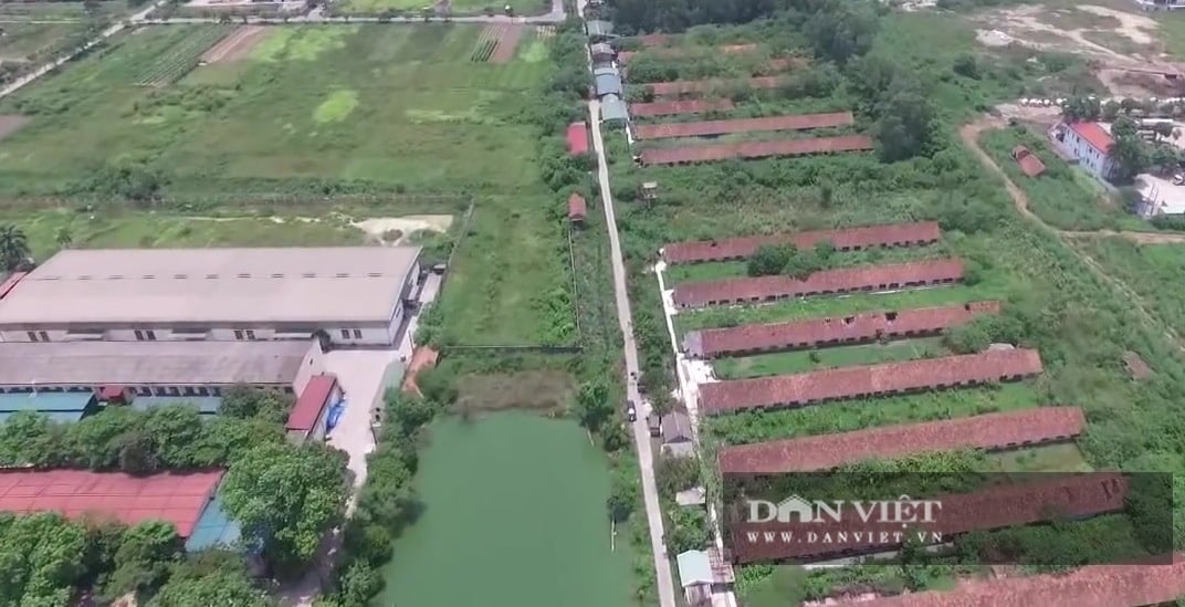 Trang trại dê nhập ngoại rộng 15ha giữa Thủ đô có gì đặc biệt? - Ảnh 2.