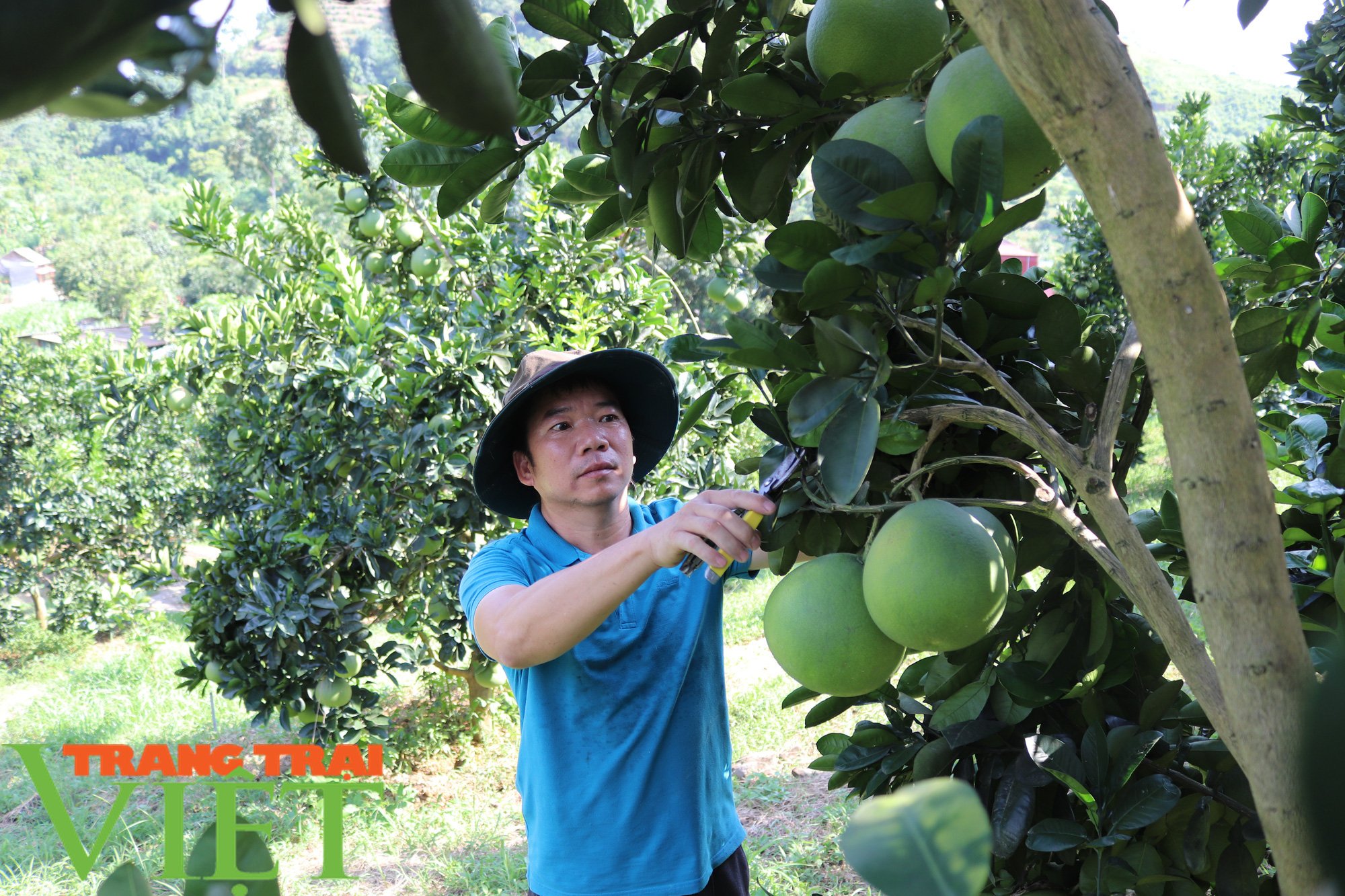Làm đống nghề, Chi hội trưởng Hội Nông dân “bỏ túi” 900 triệu đồng - Ảnh 5.