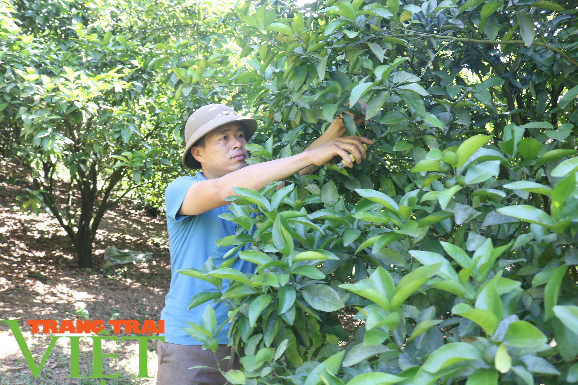 Làm đống nghề, Chi hội trưởng Hội Nông dân “bỏ túi” 900 triệu đồng - Ảnh 1.