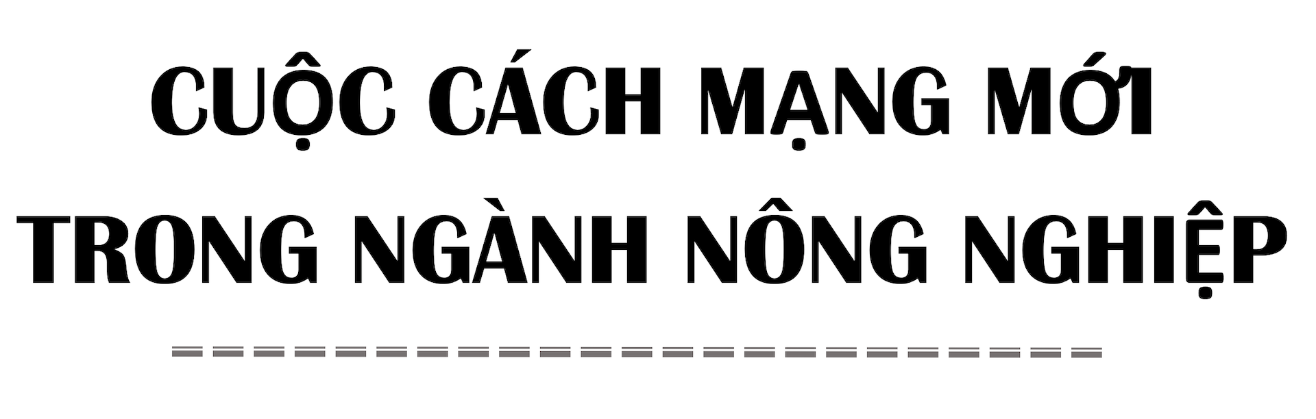 Bên trong nông trại đô thị trên mái nhà lớn nhất thế giới - Ảnh 8. Bên trong nông trại đô thị trên mái nhà lớn nhất thế giới - Ảnh 8.