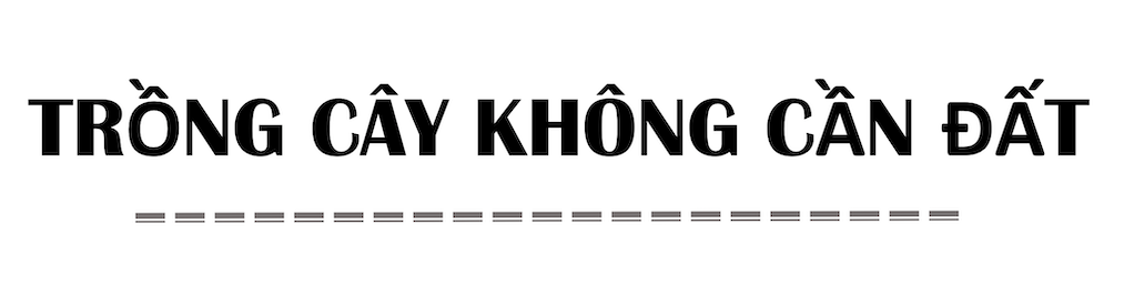 Bên trong nông trại đô thị trên mái nhà lớn nhất thế giới - Ảnh 2. Bên trong nông trại đô thị trên mái nhà lớn nhất thế giới - Ảnh 2.