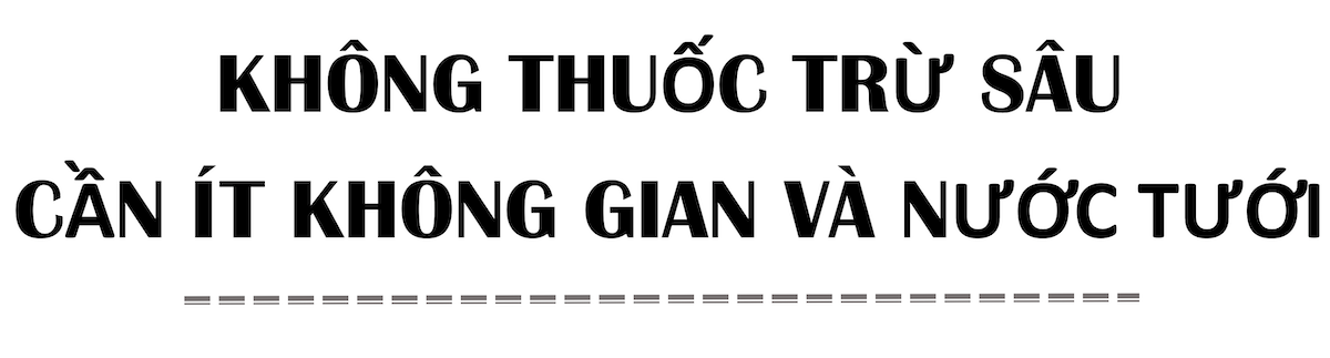 Bên trong nông trại đô thị trên mái nhà lớn nhất thế giới - Ảnh 4. Bên trong nông trại đô thị trên mái nhà lớn nhất thế giới - Ảnh 4.