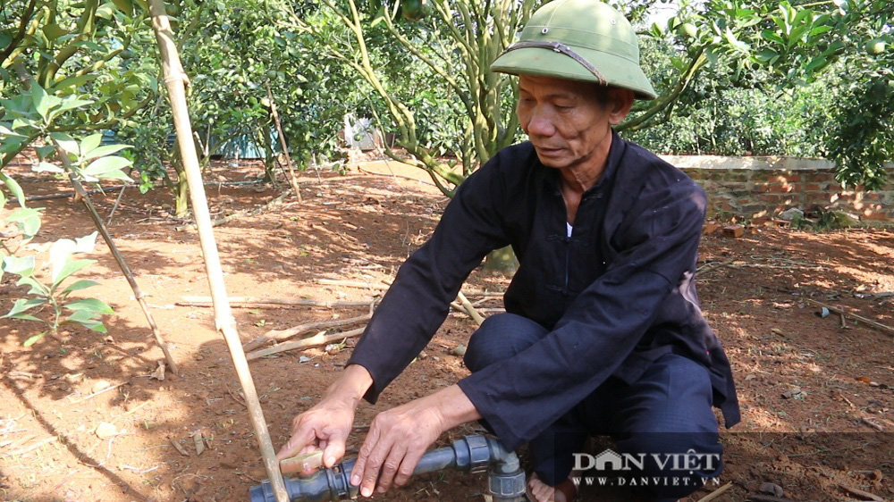 Lão nông người Thái biến đất khô cằn thành “mỏ vàng” - Ảnh 6.