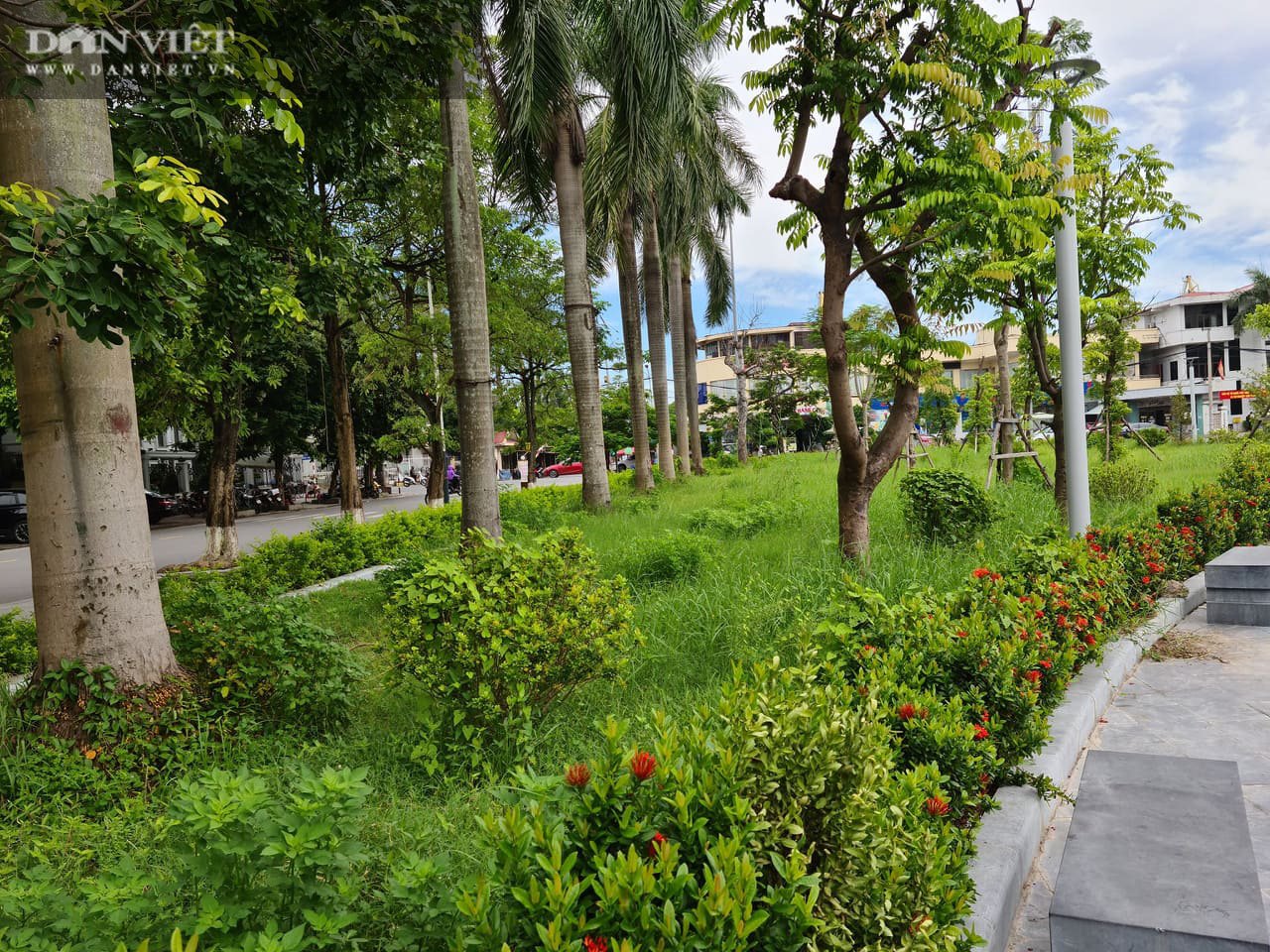 Hải Phòng: Cỏ dại mọc um tùm ở công viên 30 tỷ - Ảnh 4.
