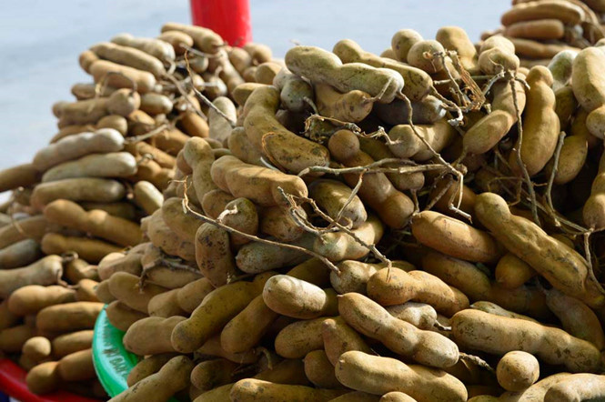 Loại quả tốt như sâm Hàn Quốc, tại Việt Nam giá chỉ khoảng 70.000 đồng/kg - Ảnh 2. Loại quả tốt như sâm Hàn Quốc, tại Việt Nam giá chỉ khoảng 70.000 đồng/kg - Ảnh 2.