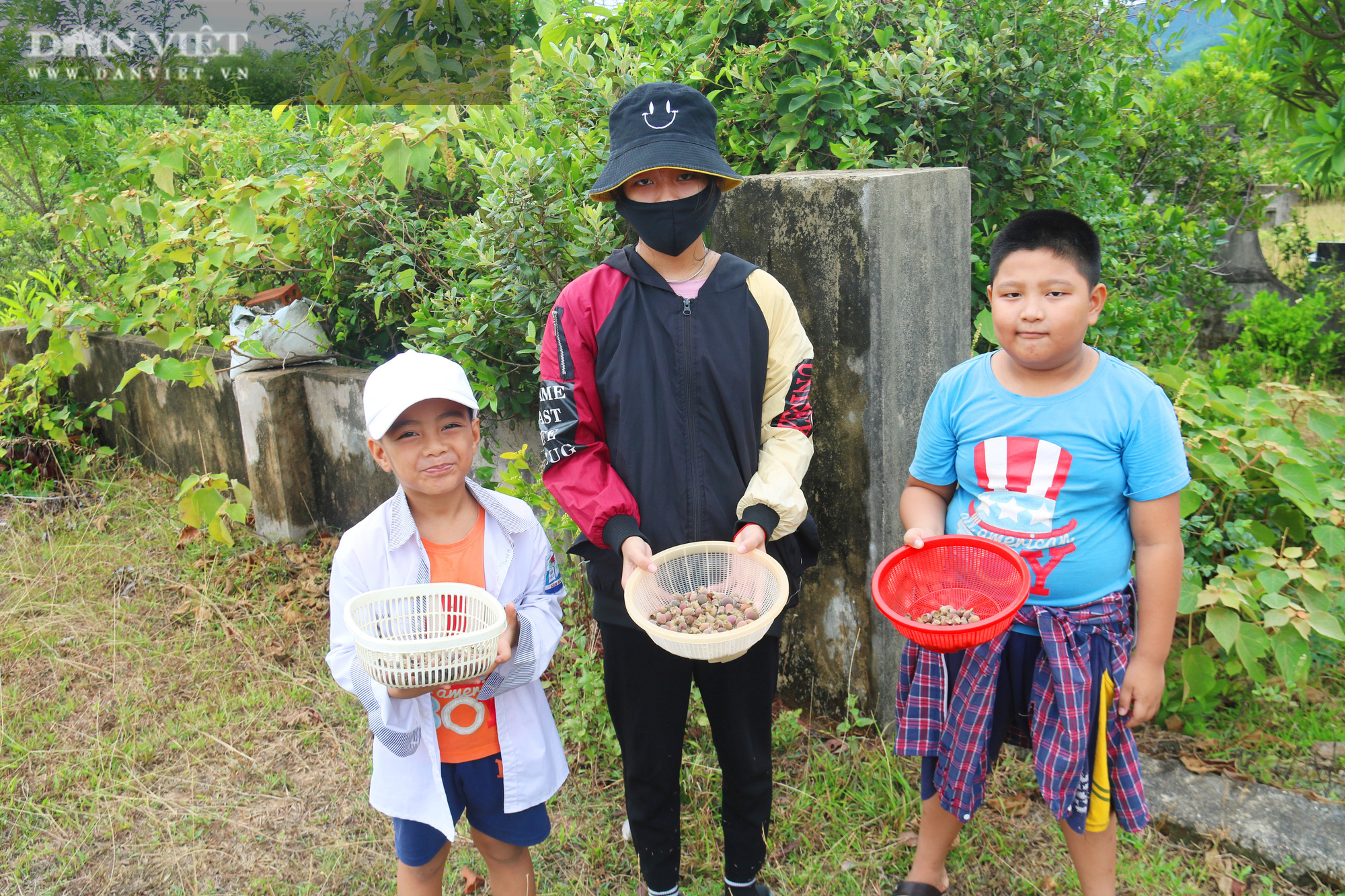 Hà Tĩnh: Người dân đổ xô lên đồi hái sim rừng, kiếm tiền triệu mỗi ngày - Ảnh 12.